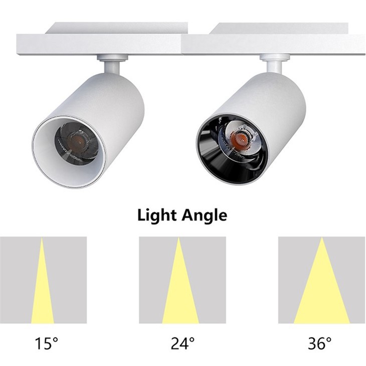 Gallery Stage 20W LED Track Light